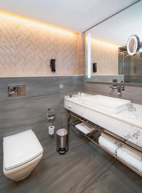 Radisson Bul Hotel, Abu -Dhabi8