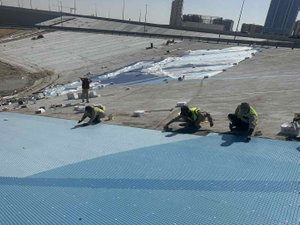 Экологическая гармония Дубая в Care1